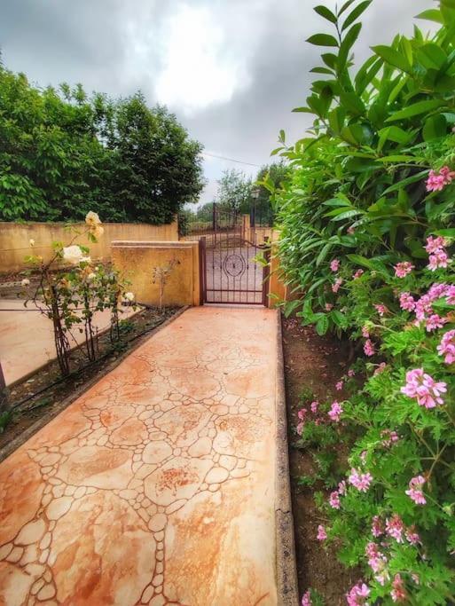 Villetta Di Anastasia 1 Tropea Filandari Eksteriør bilde